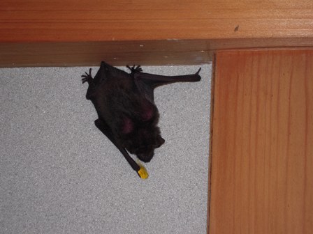 image176.jpg