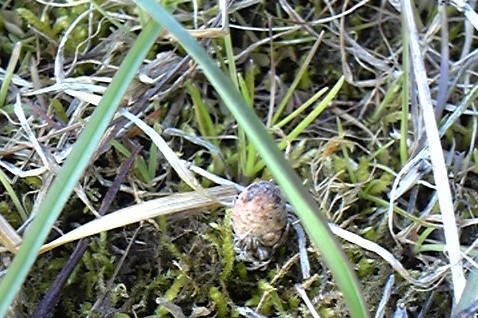 image196.jpg
