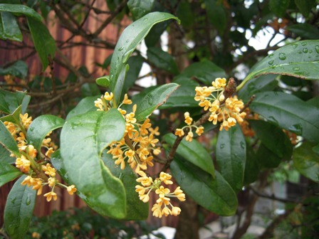 image209.jpg