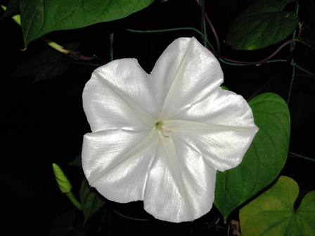 image211.jpg
