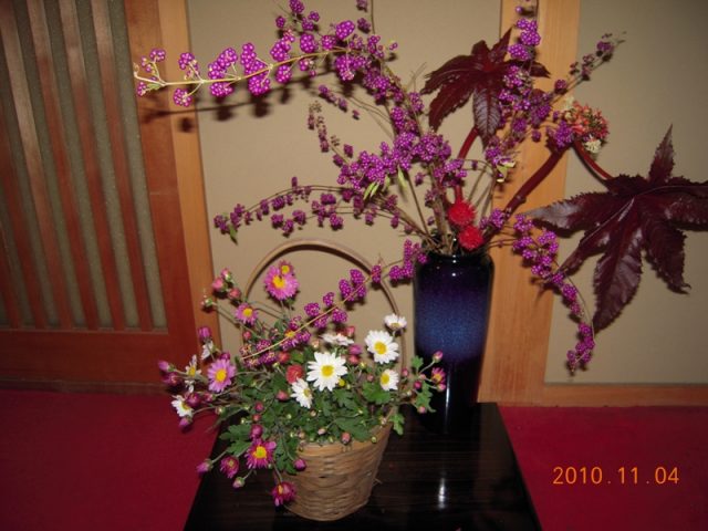 image216.jpg