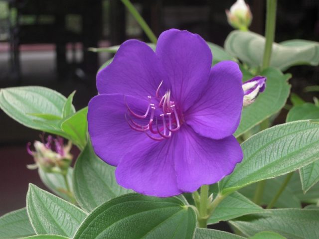 image217.jpg