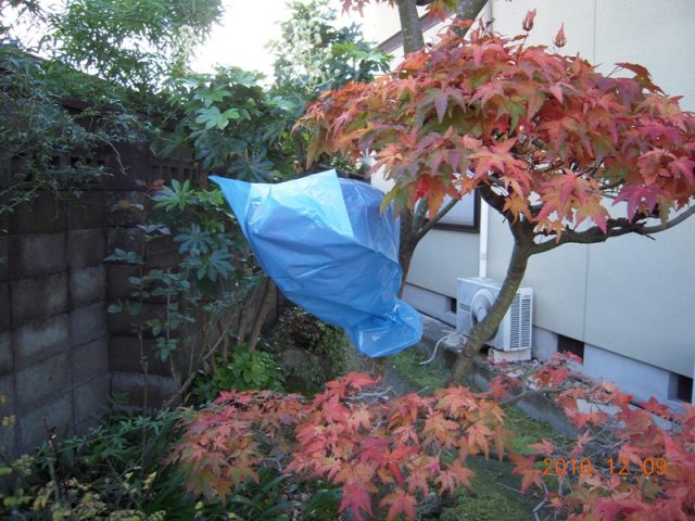 image227.jpg