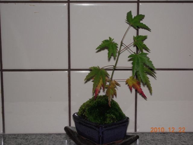 image230.jpg