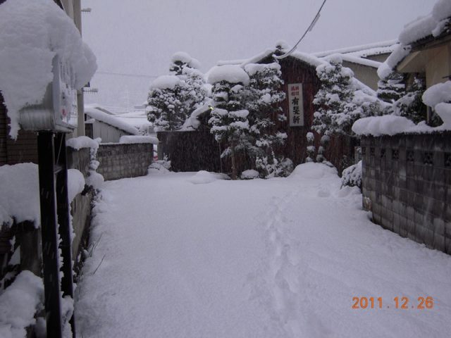 image248.jpg