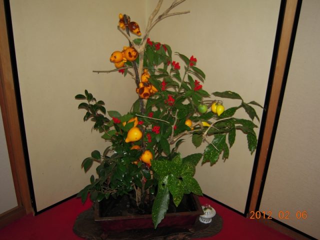 image251.jpg