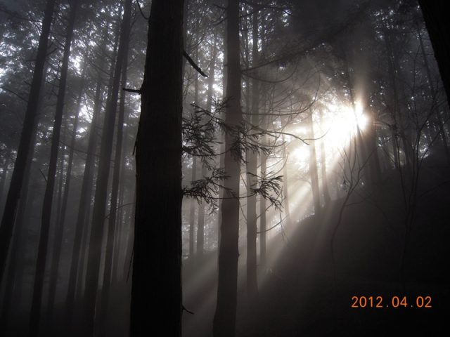 image256.jpg
