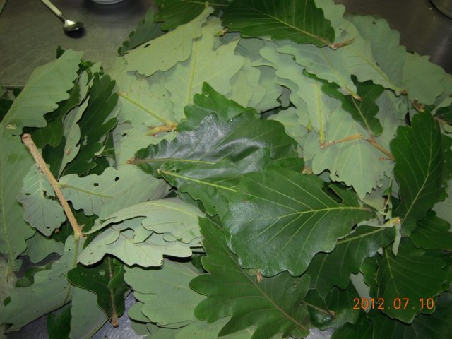 image262.jpg