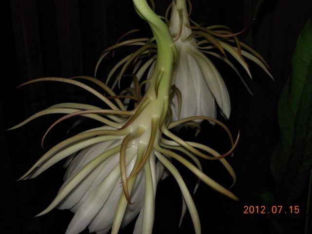 image267.jpg