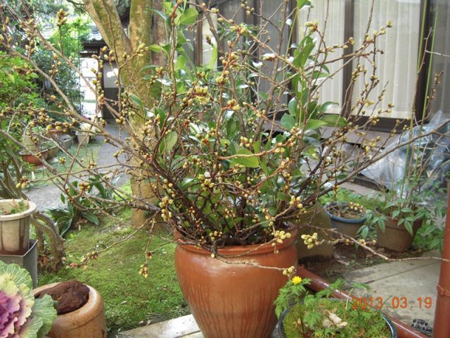 image298.jpg