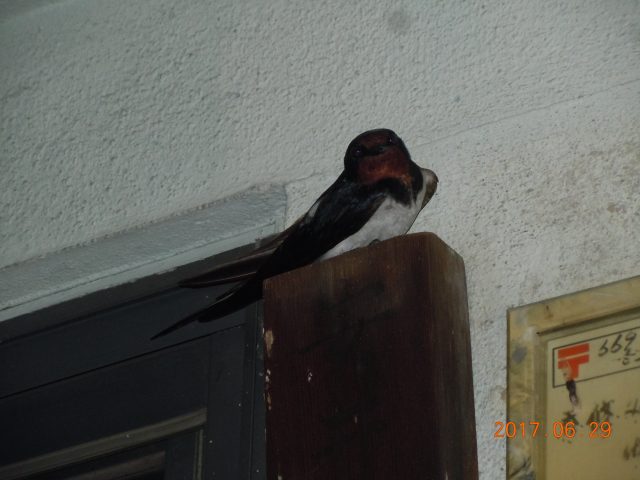 DSCN6167