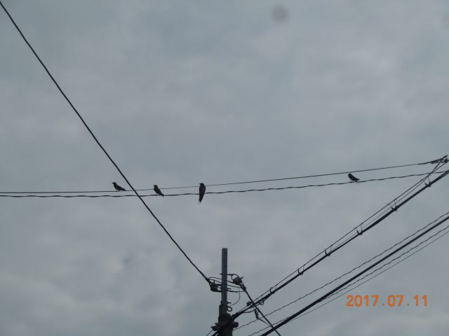 DSCN6183