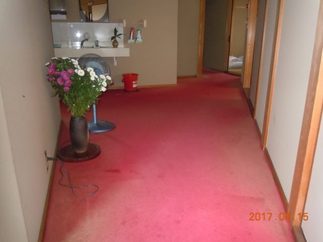 DSCN6274