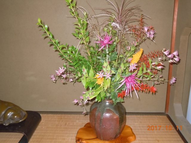 DSCN6394