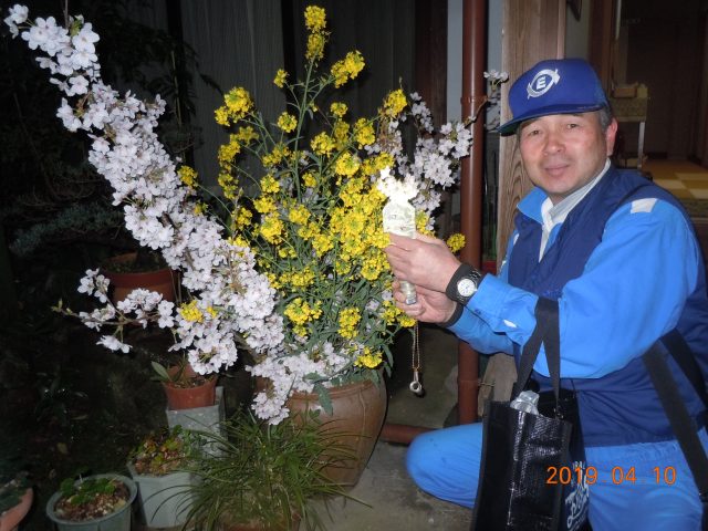 DSCN7223