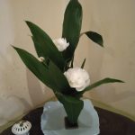 IMG_20230518_103329