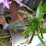 IMG_20230521_095726