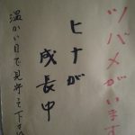 IMG_20230522_065616