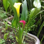 IMG_20230731_070201