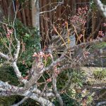 PXL_20260311_003054889