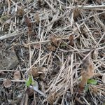 PXL_20260315_021242807