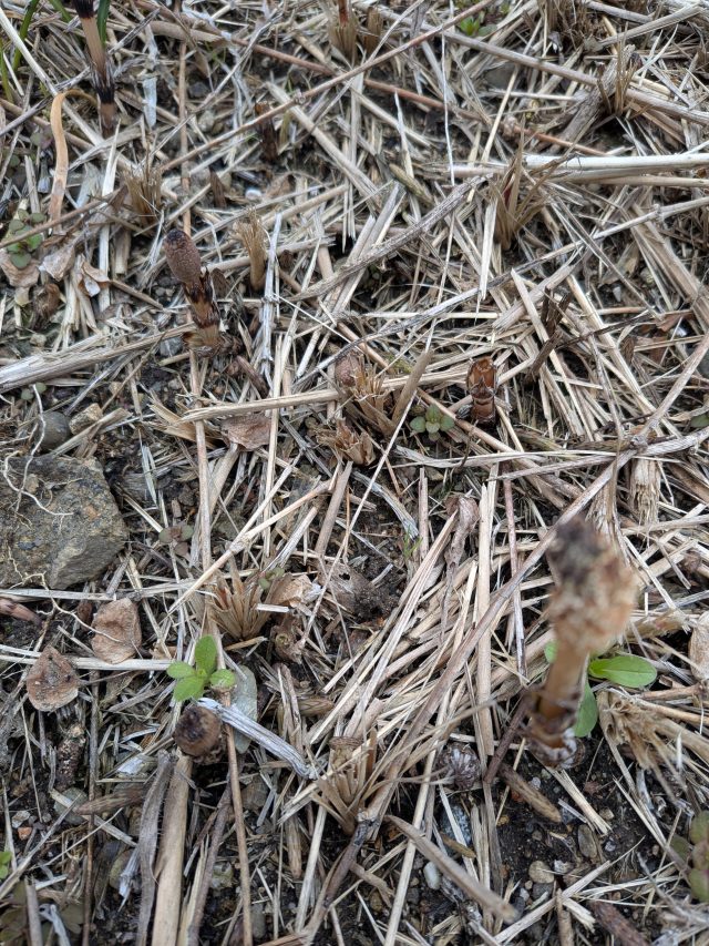 PXL_20260315_021242807