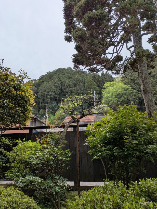 PXL_20260419_032858924
