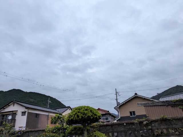 PXL_20261003_231152850