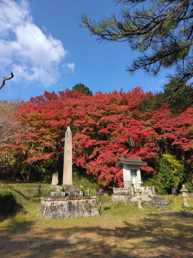 IMG_20221116_104953 竹田城の下紅葉